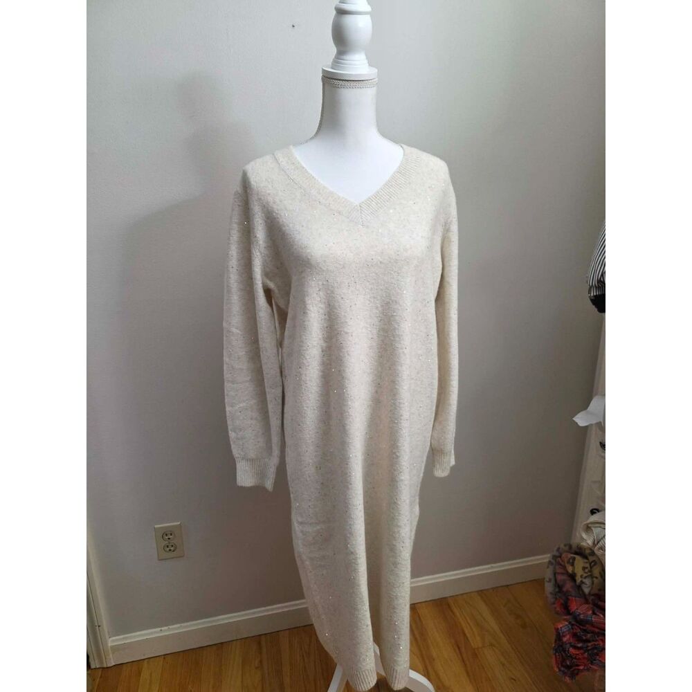 sequin embellished sweater dress (NWT)